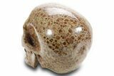Realistic, Polished Wavellite Skull #378736-3